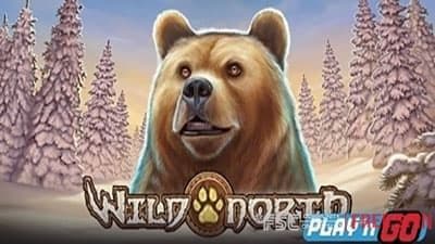 Wild North [ 와일드 노스 ] - 무료 슬롯 게임
